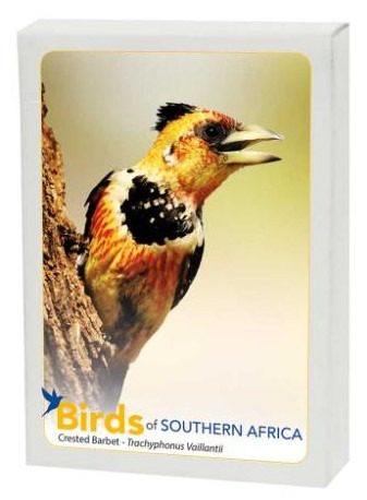 Birds of Southern Africa - Image 2