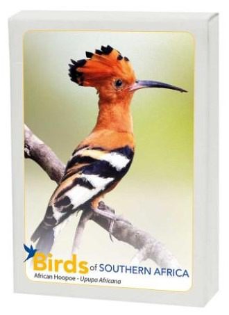 Birds of Southern Africa - Image 3
