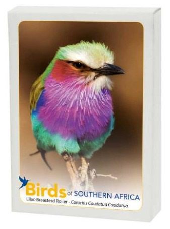 Birds of Southern Africa - Image 4