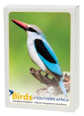 Birds of Southern Africa - Image 5