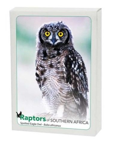 Raptors of Southern Africa