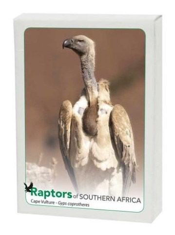 Raptors of Southern Africa - Image 5