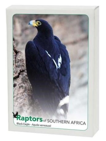 Raptors of Southern Africa - Image 2