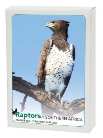 Raptors of Southern Africa - Image 4