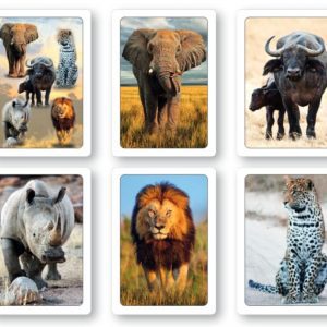 Big Five Series Playing Cards